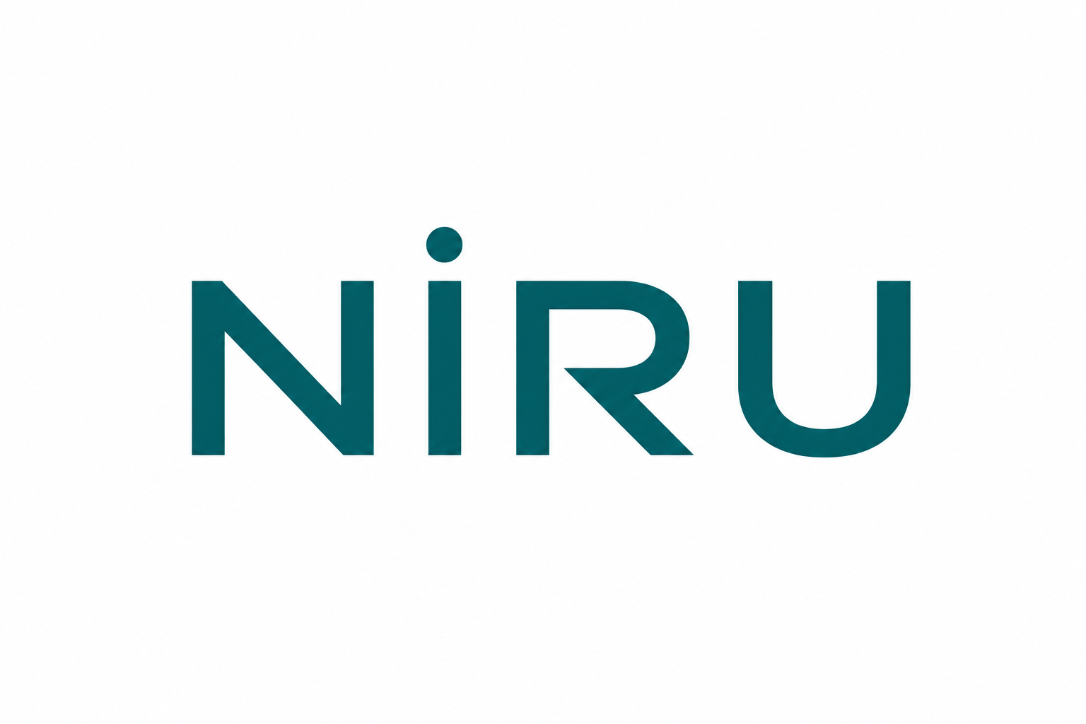 NİRU v1
