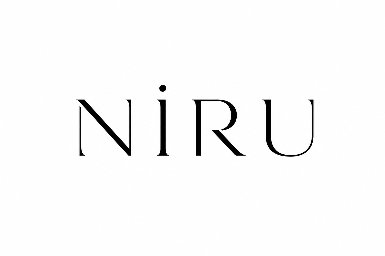 NİRU v2